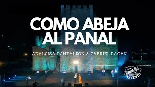 COMO ABEJA AL PANAL - GABRIEL PAGAN ❌ ADALGISA PANTALEON