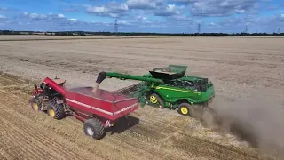 CLAAS 8800 Lexion & John Deere X9 110 Simply Agri Live Farming Videos