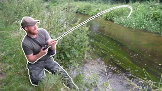 I Did NOT Expect to Catch This Fish! King of The River!