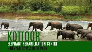 Neyyar Dam | Kottoor  Elephant Rehabilitation Centre | Deer Park | Trivandrum | Fuze HD