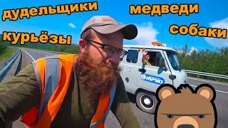 🤣Подборка интересных моментов с путешествия Москва Магадан на велосипеде. Поехавший и доехавший 😇