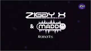 ZIGGY X & Maddo - Robots [05 / 2024]