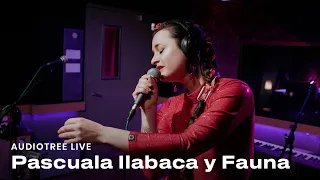 Pascuala Ilabaca y Fauna - Sin Mí | Audiotree Live