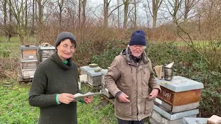 Live von Pias Bienenstand - 19.12. - Vereinigungsausgabe