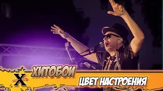 ХИТОБОИ - ЦВЕТ НАСТРОЕНИЯ