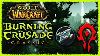 ТЕРНИСТЫЙ ПУТЬ ШП К 70 УРОВНЮ ► СТРИМ ► World of Warcraft: The Burning Crusade Classic