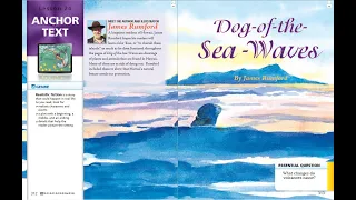 Journeys Lesson 24 Read Aloud for Third Grade: Dog of the Sea Waves