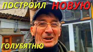 Построил Новую Голубятню для долгожданных лётных голубей 🤩/pigeon pigeons