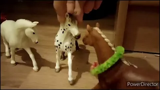 schleich music video ( Don't let    me dawn)