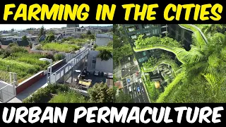 Farming in the Cities | Urban Permaculture | Terrace Gardening | Modern Agriculture