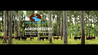 Agroforestry - Growing Trees for Conservation & Profit
