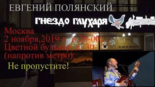 Евгений Полянский. Гнездо глухаря. 2/11/ 2019 года.