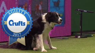 Agility Championship - Round 1 Part 2 | Crufts 2017