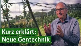 Wie funktioniert die neue grüne Gentechnik? | Pro und Contra | Unser Land | BR