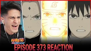 TEAM 7 REUNITES! Naruto Shippuden Episode 373 Reaction