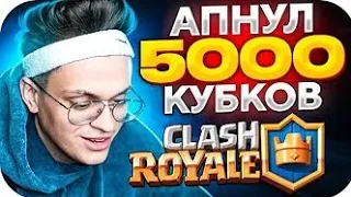 БУСТЕР АПНУЛ 5000 КУБКОВ В КЛЭШ РОЯЛЬ/ БУСТЕР ИГРАЕТ В КЛЭШ РОЯЛЬ/Buster Нарезки