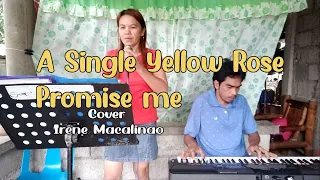 A SINGLE YELLOW ROSE / PROMISE ME DOUBLE STEP - Cover Irene Macalinao | 6th String Band