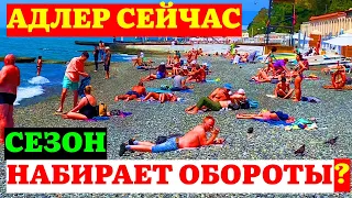 АДЛЕР СЕЙЧАС | НЕ УЖЕЛИ СЕЗОН?? | что БУДЕТ НА ПЛЯЖЕ МАНДАРИН?? |  В 4K #37