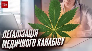 ☘️ Війна підштовхує до легалізації в Україні медичного канабісу | Сергій Лабазюк
