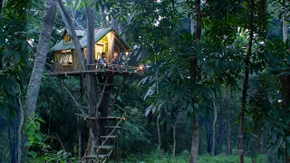 Membuat Rumah Pohon dalam hutan, Tidur Paling Nyaman Di dalam Rumah Di atas Pohon