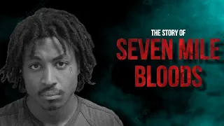 The story of the Seven Mile Bloods | the deadly instagram hitlist