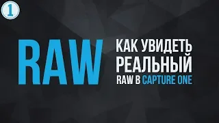 Как увидеть реальный RAW в Capture One | Уроки Capture One #5 | Фото Лифт