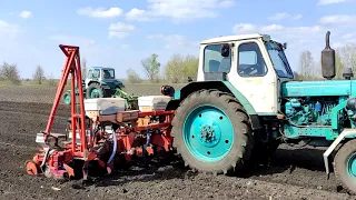 ЮМЗ Стара гвардія  Сієм Соняшник PIONER P64LE25  Kuhn Planter 2 Дан 2 1