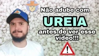 Cuidados na adubação com UREIA - IMPORTANTE!