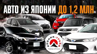 НАРОДНЫЕ МОДЕЛИ TOYOTA ДО 1,2 МЛН | ПРАВЫЙ РУЛЬ РУЛИТ!