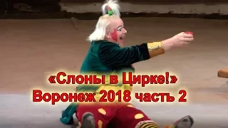 «Слоны в Цирке!» Воронеж 2018 часть 2