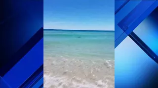 Shark sighting forces evacuation of Fort Lauderdale Beach