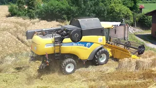 Bircher Lohnunternehmen / Gerste dreschen 2019 / Getreide / Barley Harvest