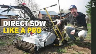 How To Direct Sow Like A PRO | Fast & Easy Seeding Method 🌱