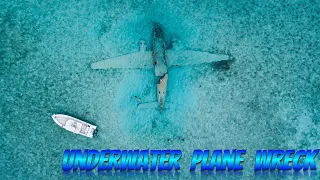 Sunken Drug Plane In Bahamas | Underwater Plane Wreck at Staniel Cay | Exuma Plane Wreck #Shorts