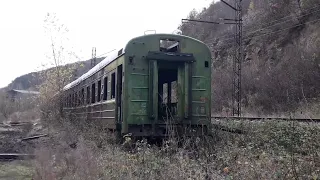 Заброшенная Железная дорога. эти вагоны уже никогда отсюда не уедут. Вагоны заросшие деревьями