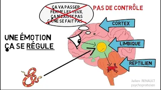 Les  émotions