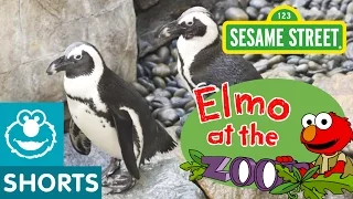 Animal Friends at the Zoo (Elmo at The Zoo #5)