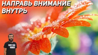 Направь внимание внутрь | Просветление | Уриил  #просветление #пробуждение #медитация