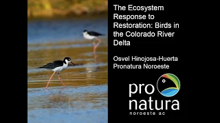 WRAN Webinar:  The Ecosystem Response to Restoration: Birds in the Colorado River Delta