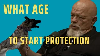 What Age Should I Start My Protection Dog