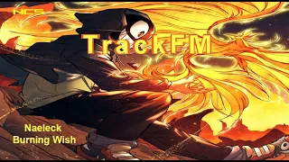Naeleck - Burning Wish (ft. Roniit)(NCS)TrackFM
