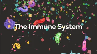 The Immune System - Unit overview!