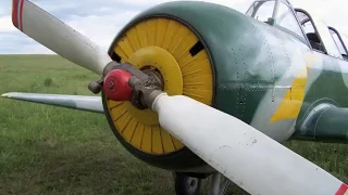 Yak 52