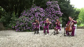 Have a little faith in me, John Hiatt, Joe Cocker door Het Strijkkwartet, wedding string quartet.