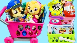 Paw Patrol Baby Chase Goes Surprise Toy Secret Santa Shopping for Baby Skye!