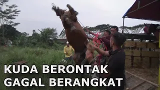 BERANGKAT TEMPUR SAMUDRA STABLE LEGOKJAWA PANGANDARAN