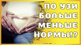 По УЗИ вес или рост плода выше или ниже нормы - это как?!