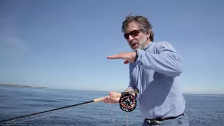 Saltwater Fly Fishing - Offshore & Near Shore