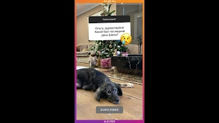Insta Story | Ольга Орлова (@olgaorlova1311) Инстаграм Сторис | 14.12.2020