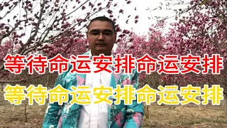 等待命运安排命运安排～